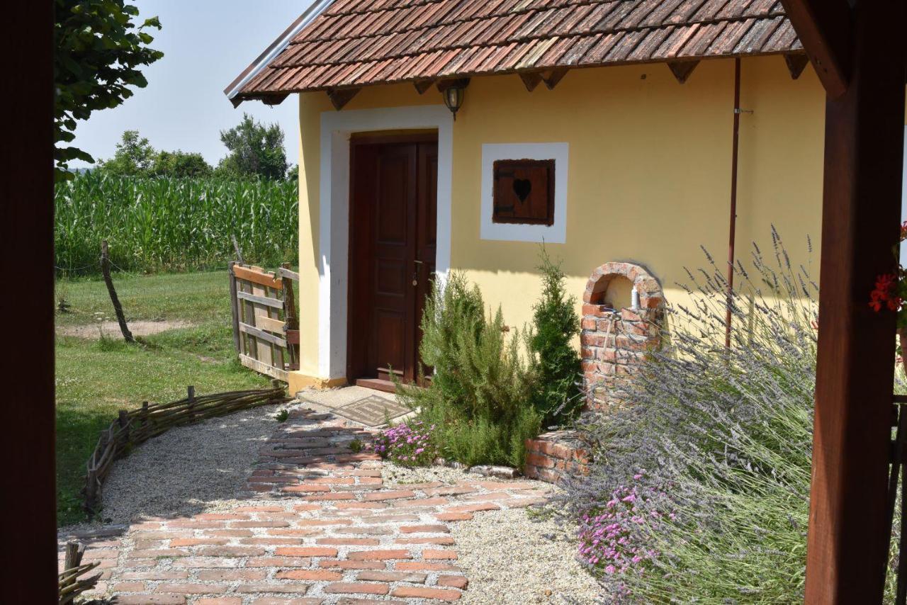 Country House Ivancan Molve Eksteriør billede