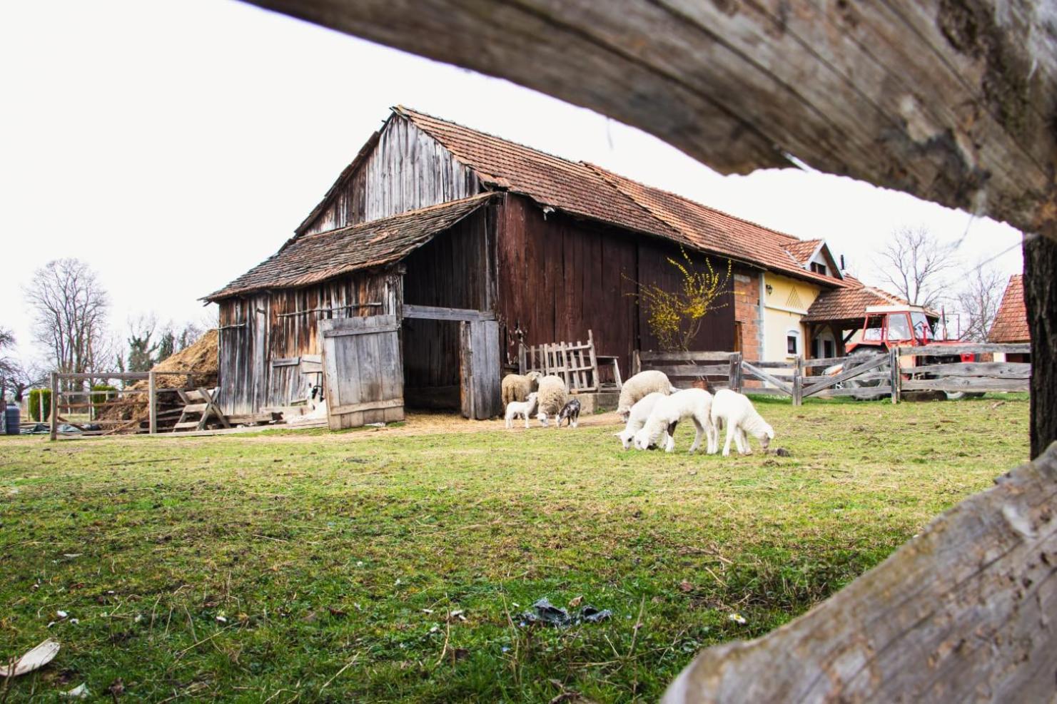 Country House Ivancan Molve Eksteriør billede