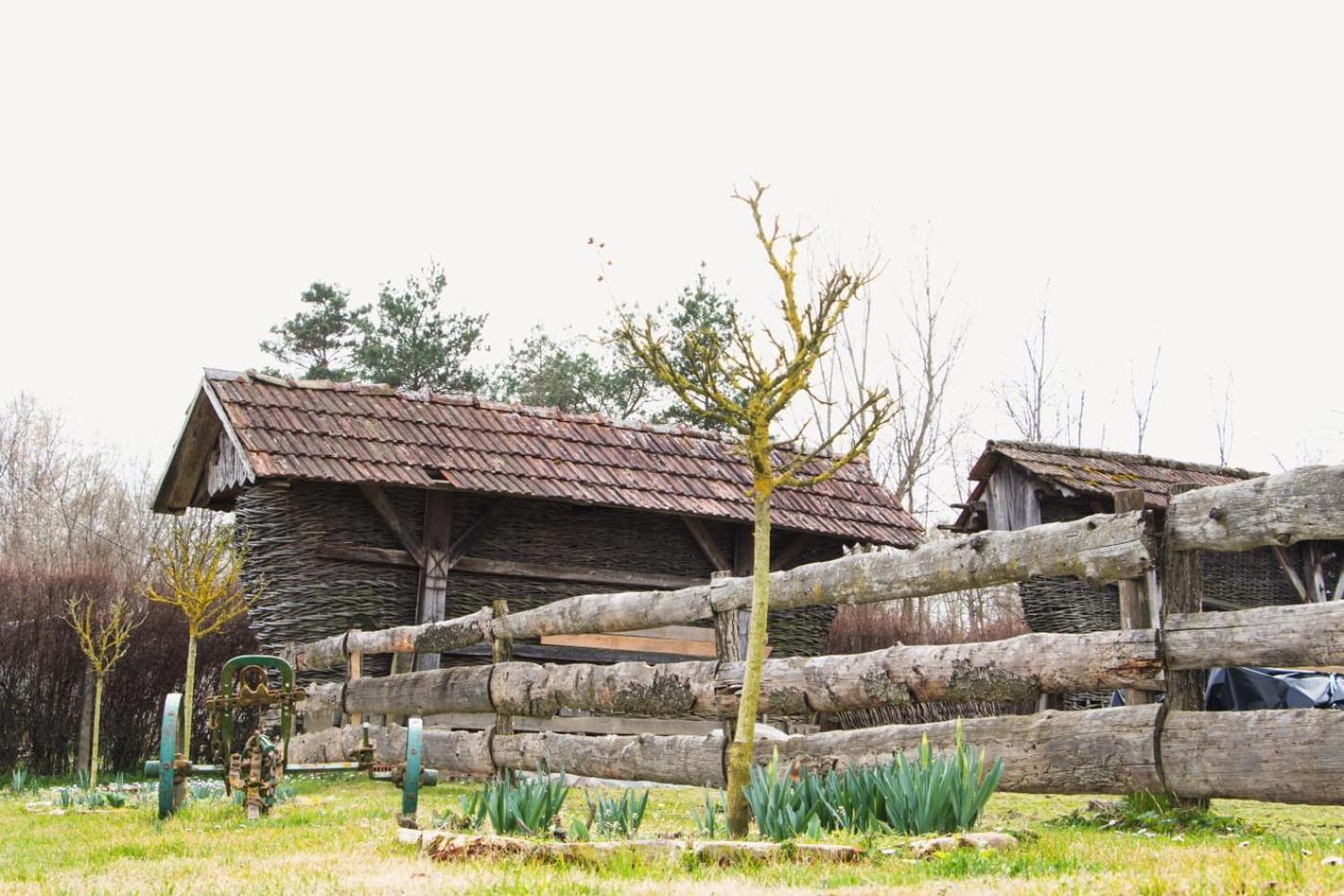 Country House Ivancan Molve Eksteriør billede
